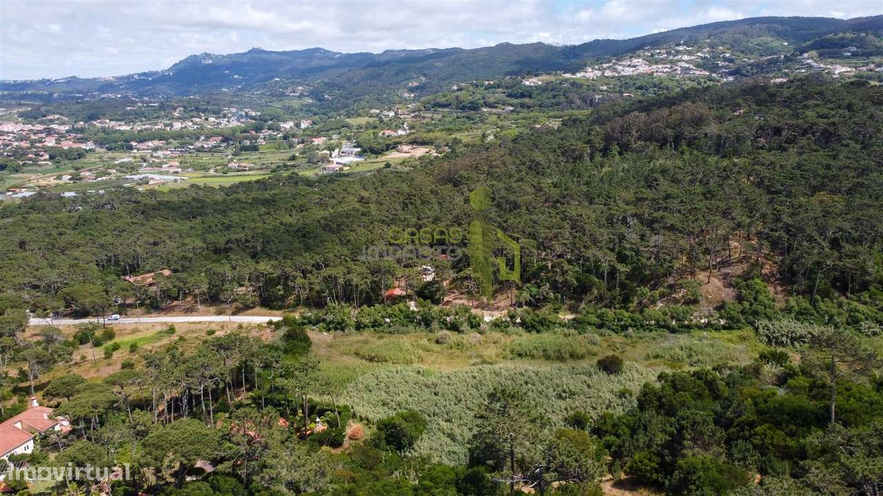 Terreno Rustico com 3.000m2 em Colares-10