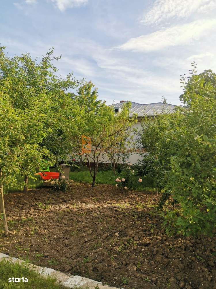 Casa tip parter zona Izvorul Dulce com. Merei - Imagine principală: 4/20