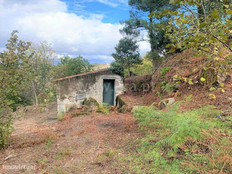 Terreno / Resende, Anreade e São Romão de Aregos - Grande imagem: 4/15