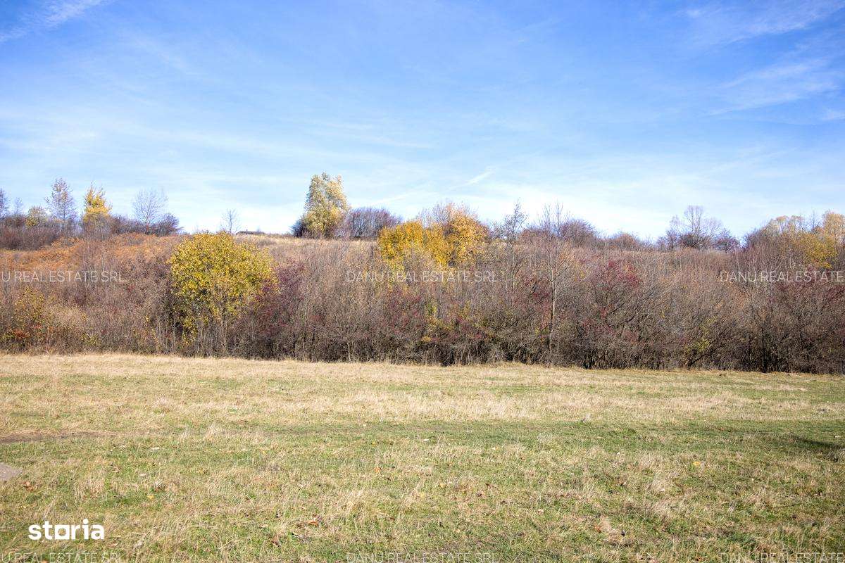 Comision0Teren intravilan 5723mp Zarnesti Tohanita-investitie - turism-15