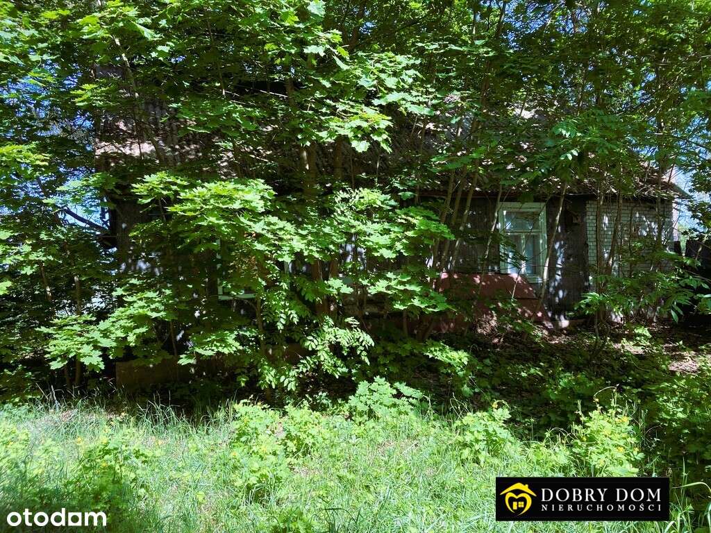 *Siedlisko na Podlasiu w otulinie lasu*-5