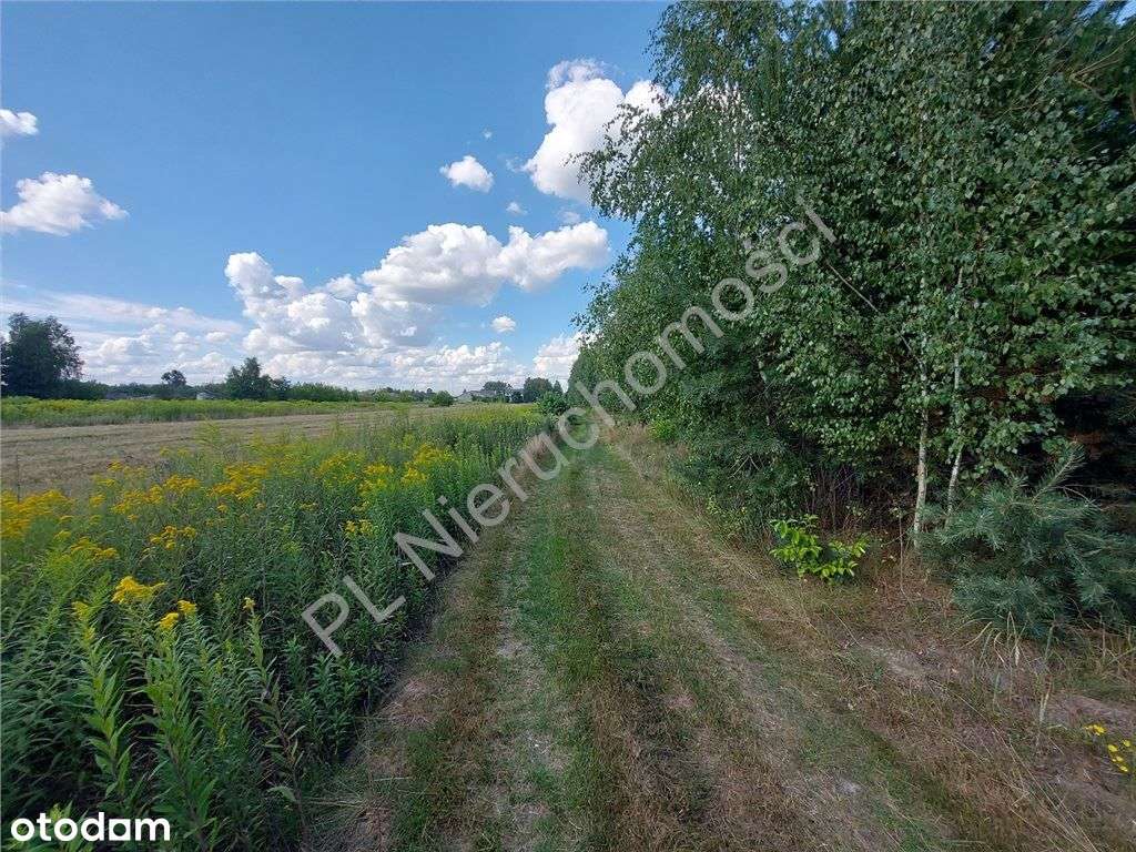 Wymiarowa Działka. Cisza I Spokój.-0