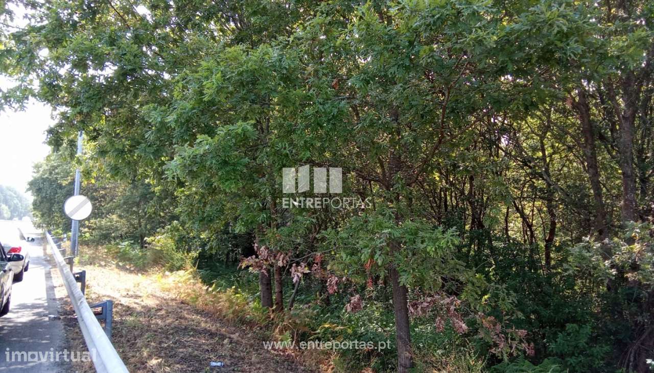 Venda de Terreno Industrial, Mazarefes, Viana do Castelo - Grande imagem: 3/27