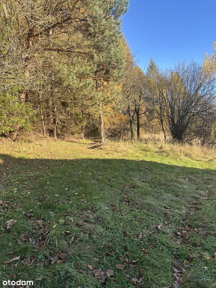 Dom pod lasem ze stodołą !  z potemcjałem , do remontu, ok. Krakowa-5