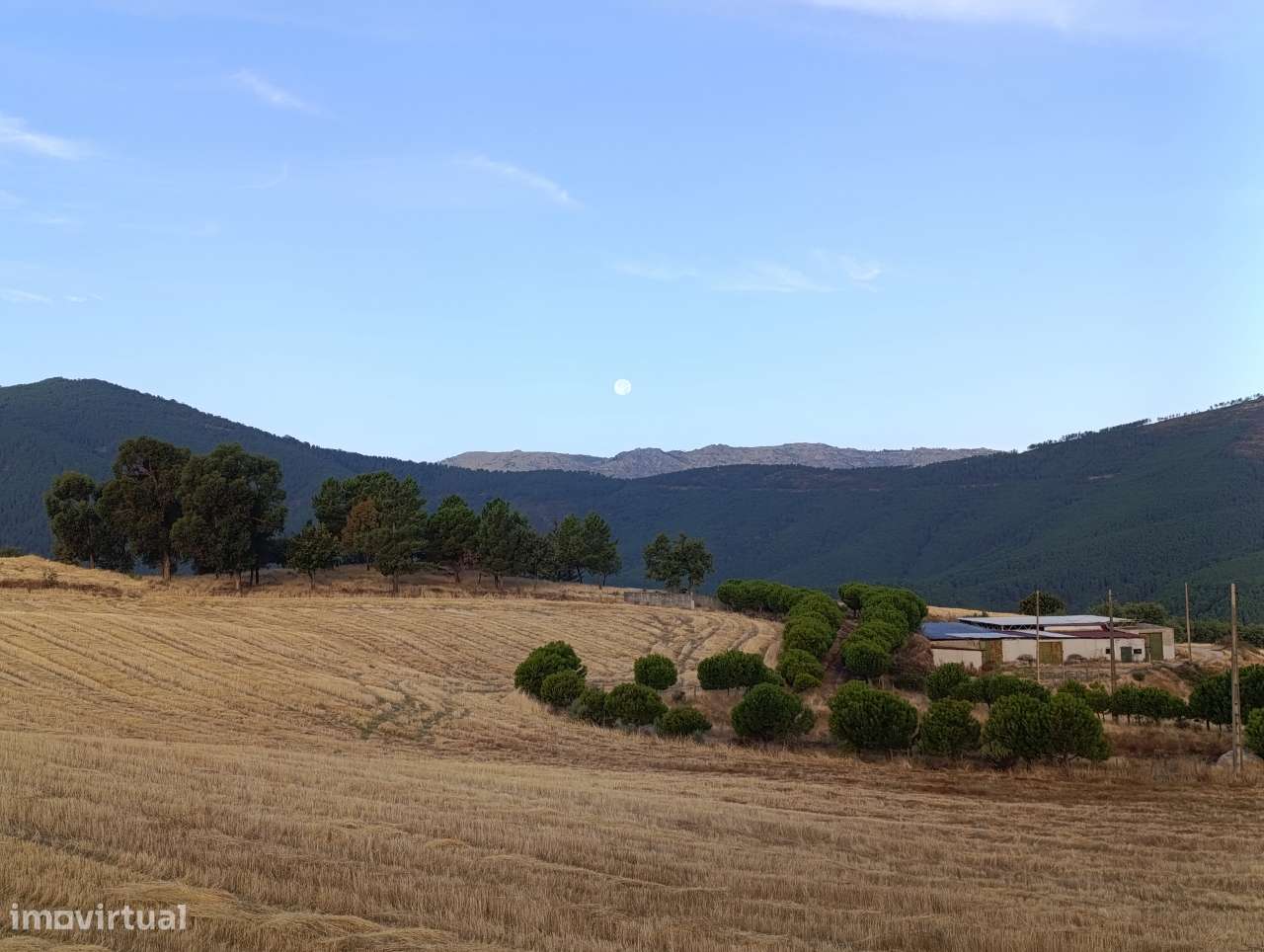 Quinta 10 Hectares com 2 Lagos e Vistas Panorâmicas - Grande imagem: 4/46