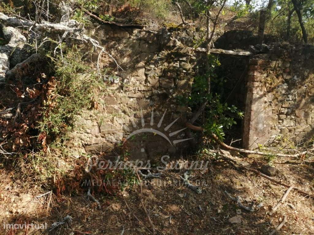 Terreno Misto - 9,975 Hectares - Grande imagem: 3/6