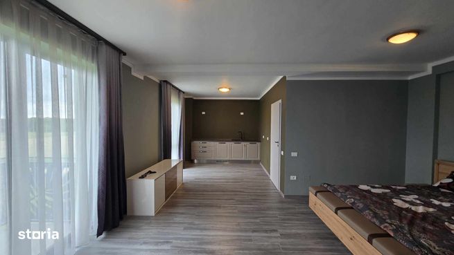 Apartament tip studio de vanzare, Baile Felix-2