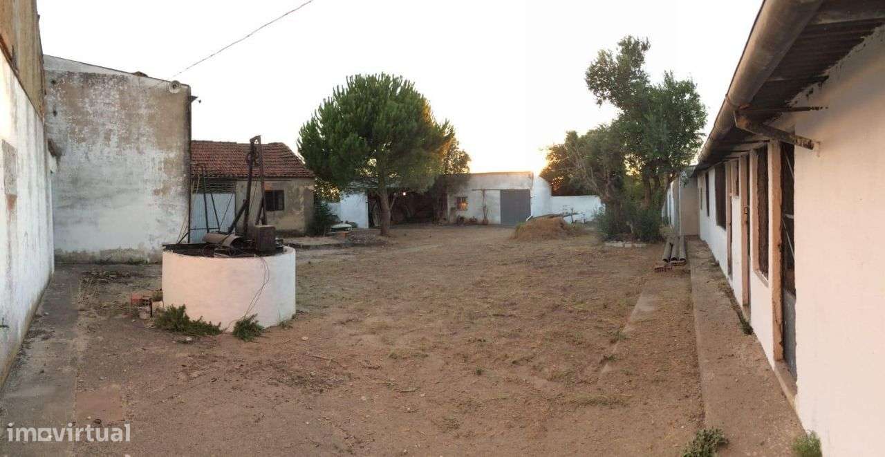 Herdade com 2 casas, Olaia, Torres Novas - Grande imagem: 4/13