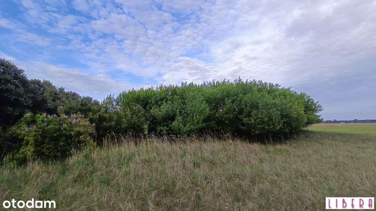 Tylko u nas! Dzialka bydowlana, Januszkowo-1