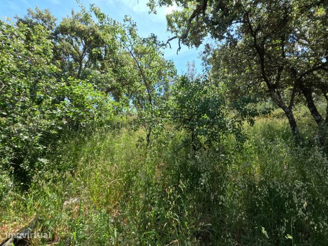 Village House For Sale - Castelo Branco-11