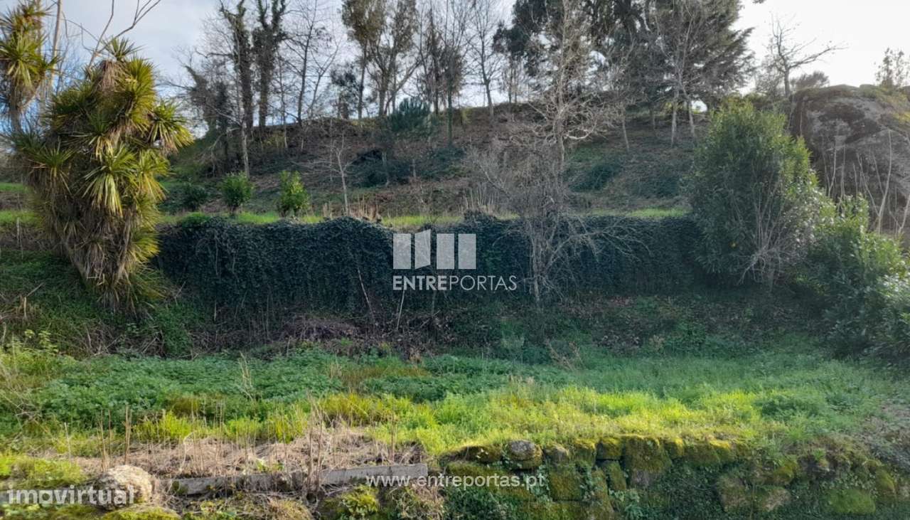 Venda Terreno, Gatão, Amarante - Grande imagem: 2/30