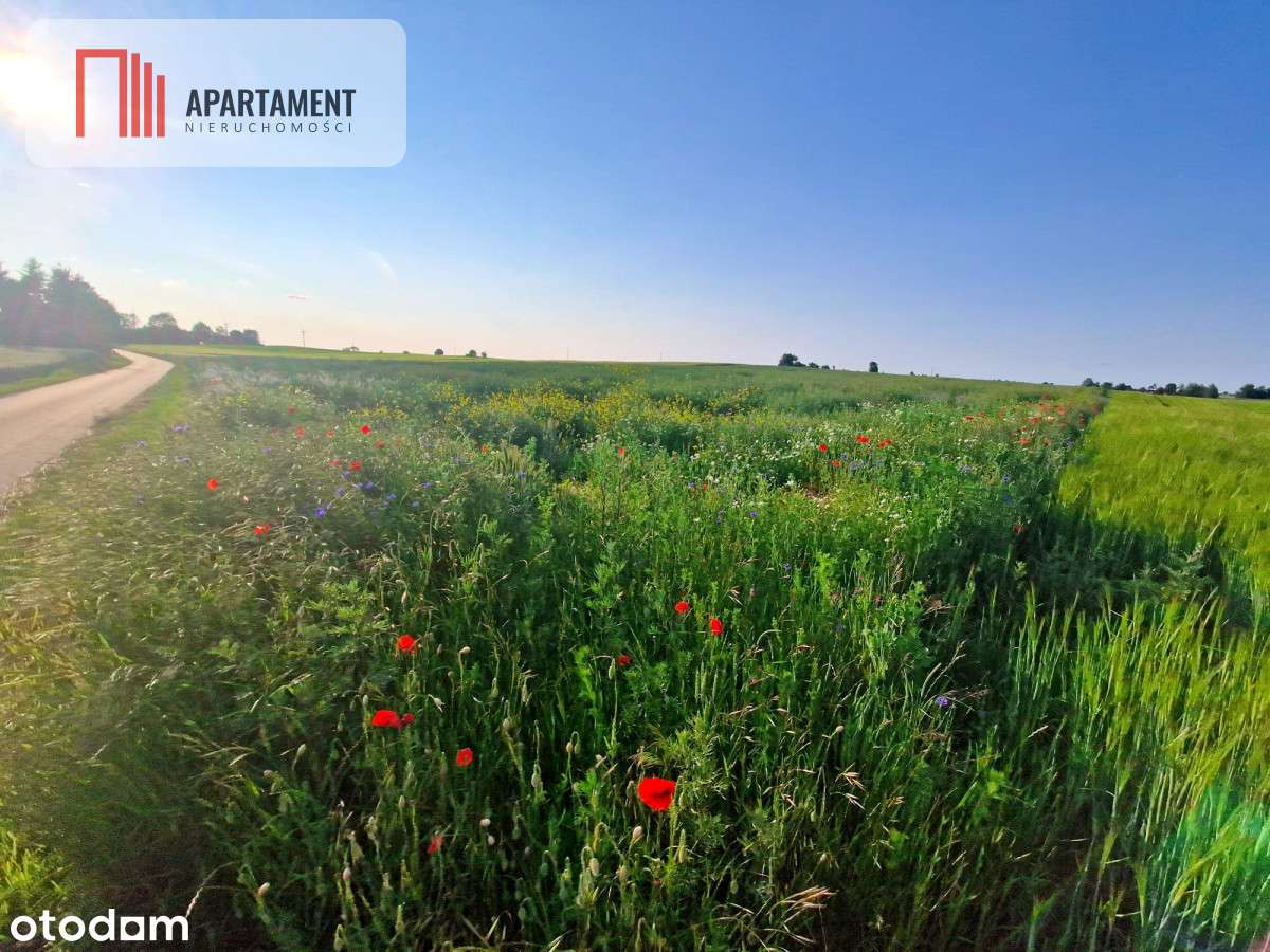 Tylko U Nas! Idealne miejsce na Twój wymarzony dom - Pełny obrazek: 4/5