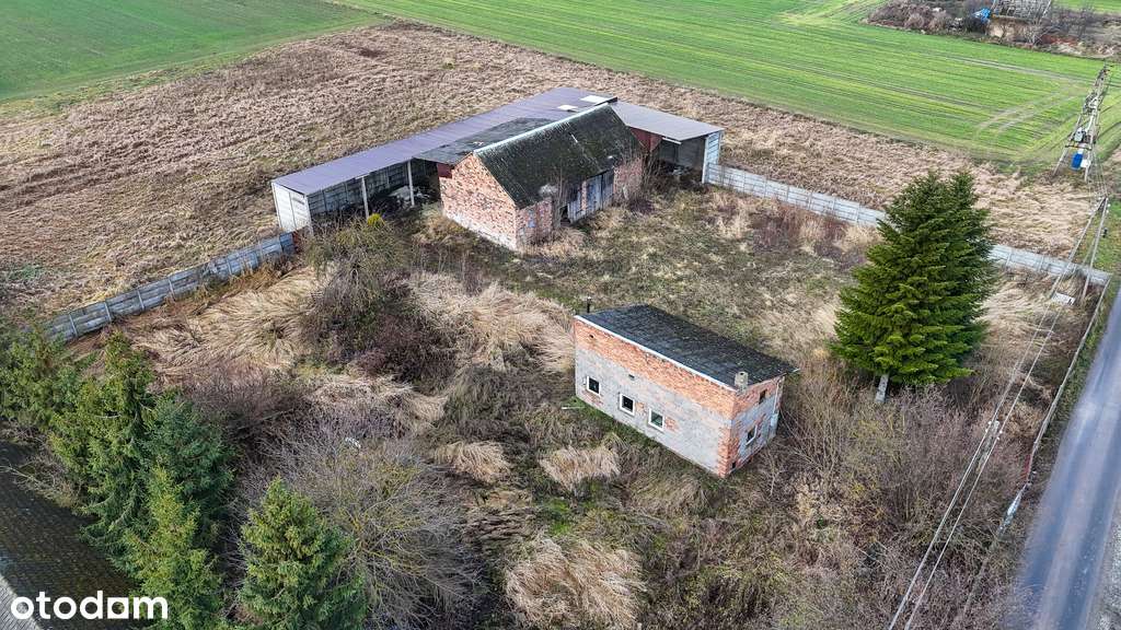 Ożarów, gm. Mokrsko | Działki na sprzedaż-5