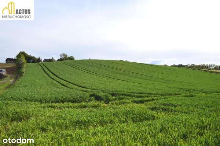 Nieruchomość 1,32 ha Stręgoborzyce-4