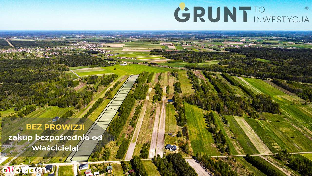 Działki budowlane - przy ścianie lasu - Pełny obrazek: 3/10