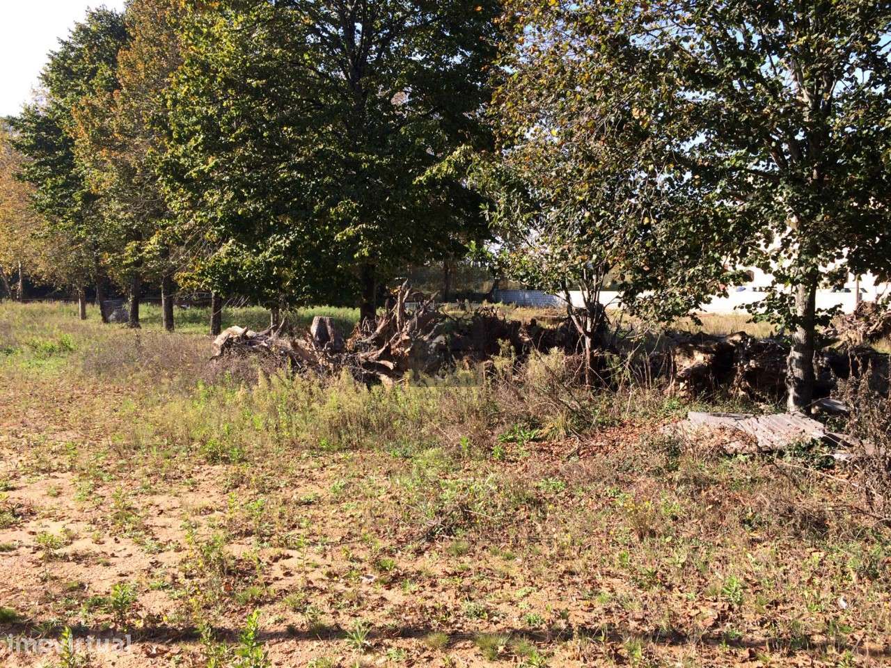 Terreno  Venda em São Roque,Oliveira de Azeméis - Grande imagem: 4/5