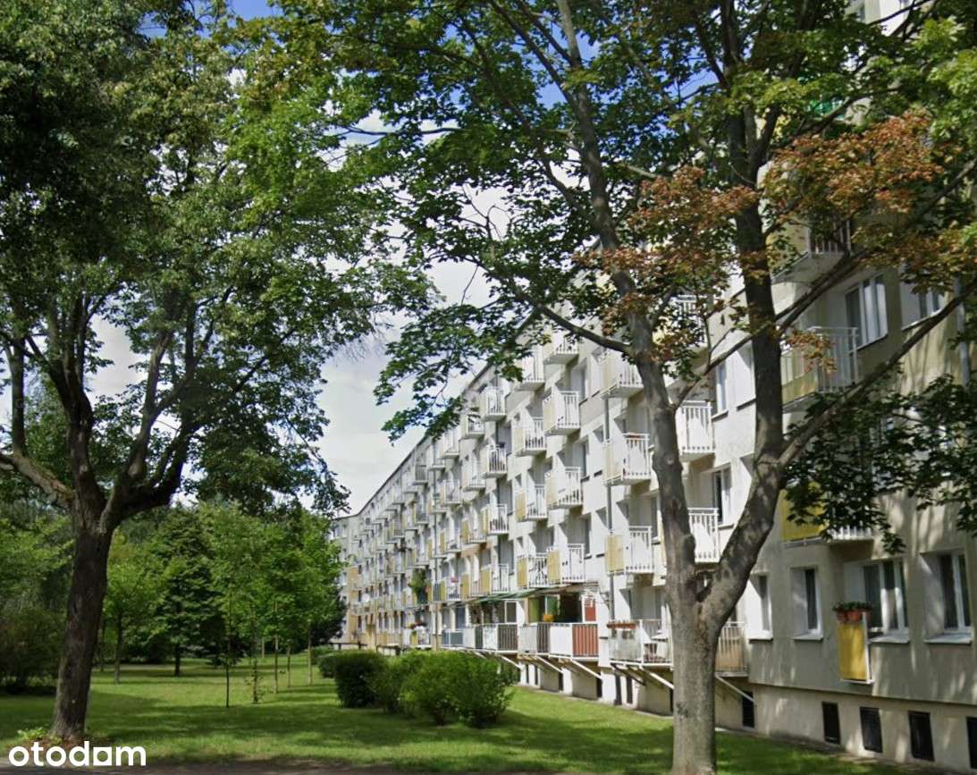 Poznań Mieszkanie 3 pokoje Winogrady tereny zielone