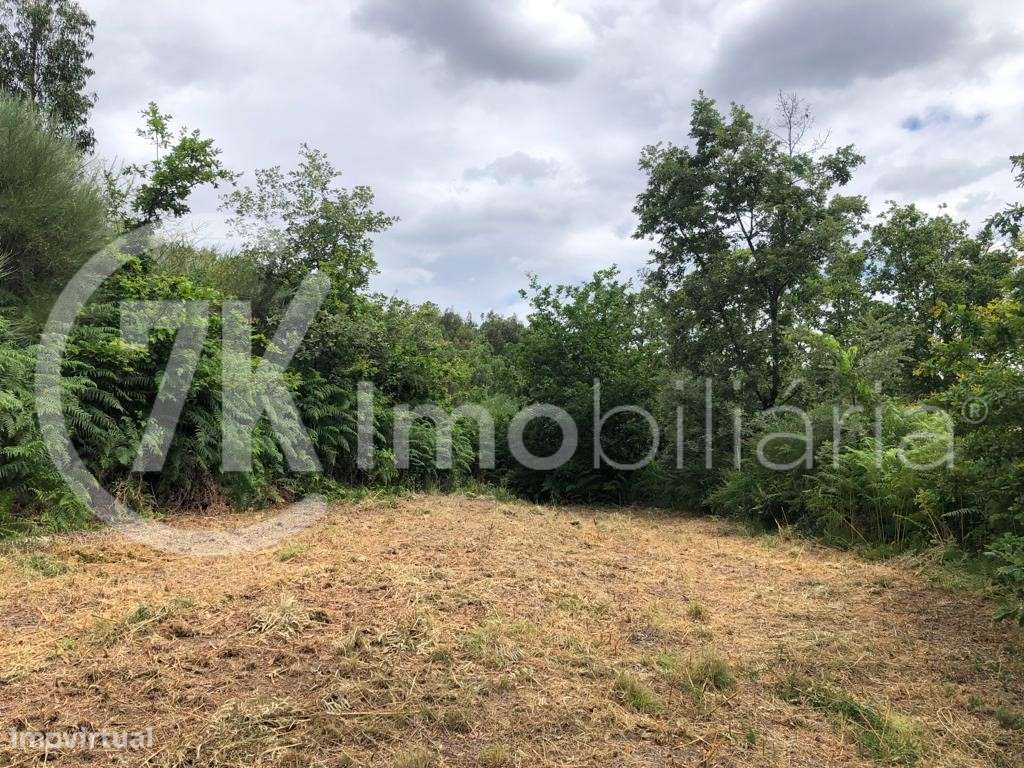 Terreno na Légua-7