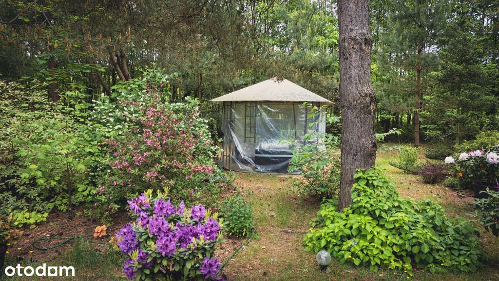 Na sprzedaż dom w zaczarowanym ogrodzie - Pełny obrazek: 4/20