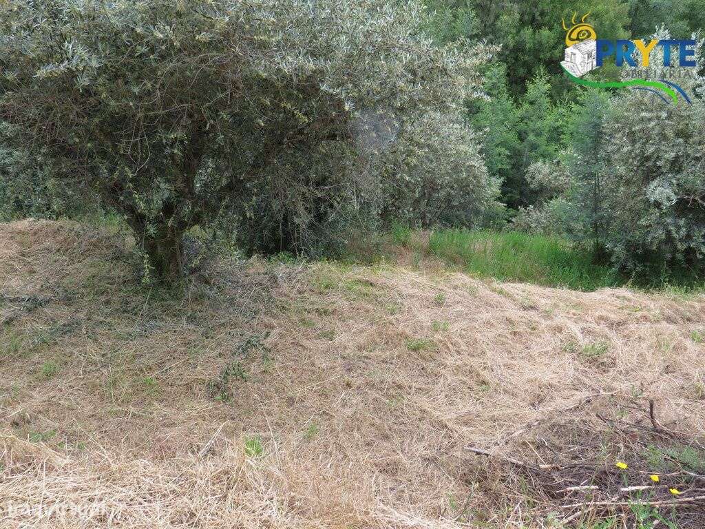 Pequena quinta a confinar com a Ribeira situada perto de Oleiros-40