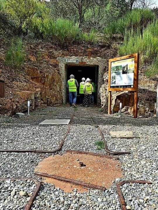 Quinta 5.3 ha, Covilhã-5