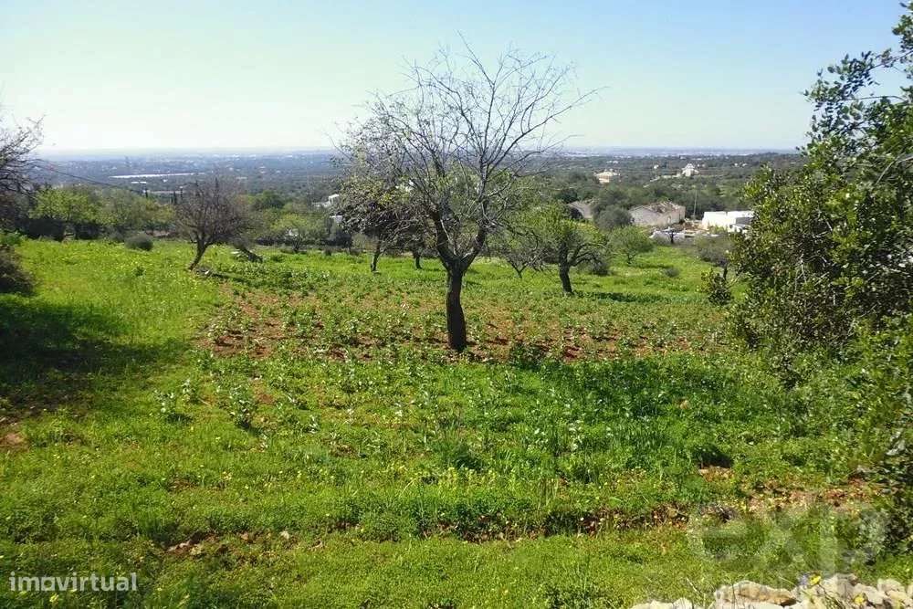 Land of 5622,40m2 with registered construction  and stunning views ove - Grande imagem: 4/9