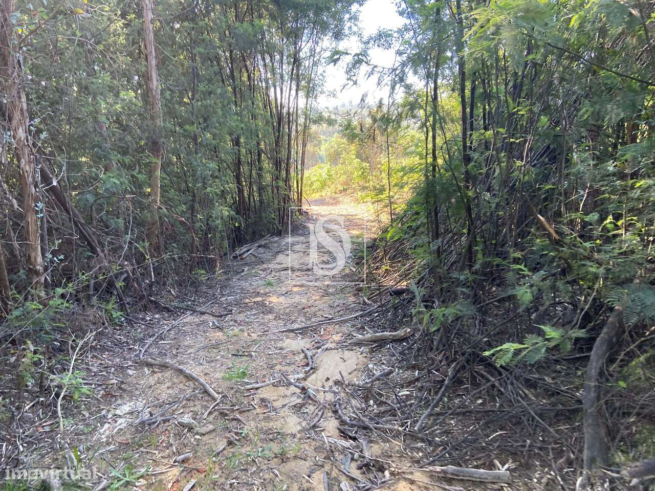 Terreno junto ao rio Dinha - Grande imagem: 5/16