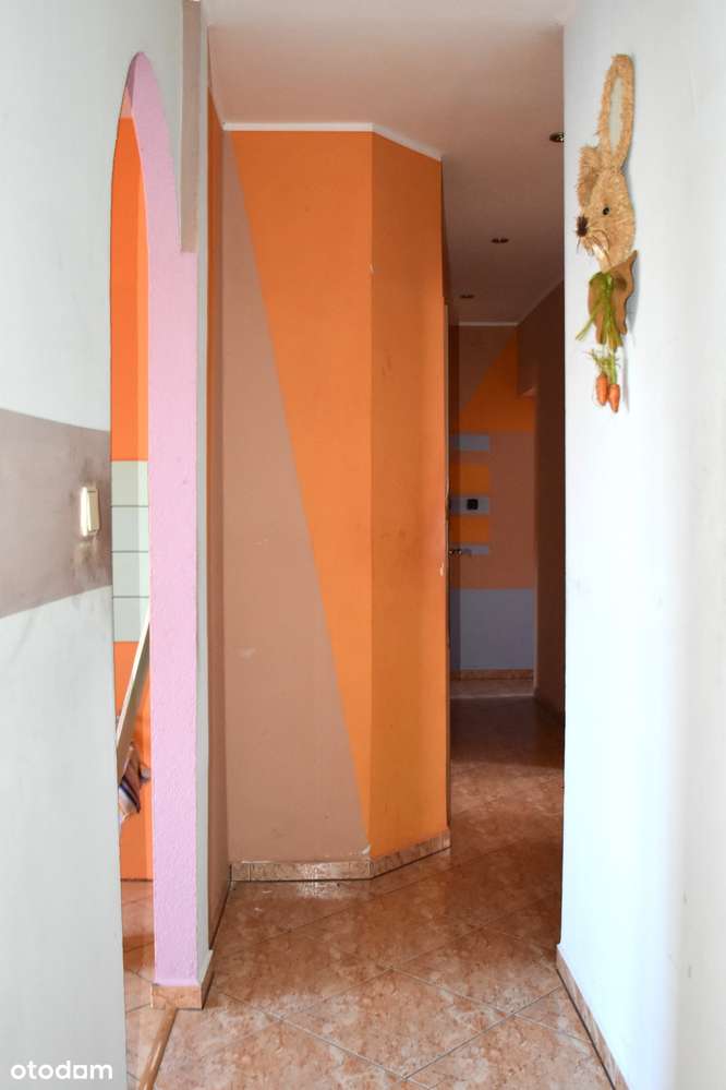 3 pokoje, piwnica,-8