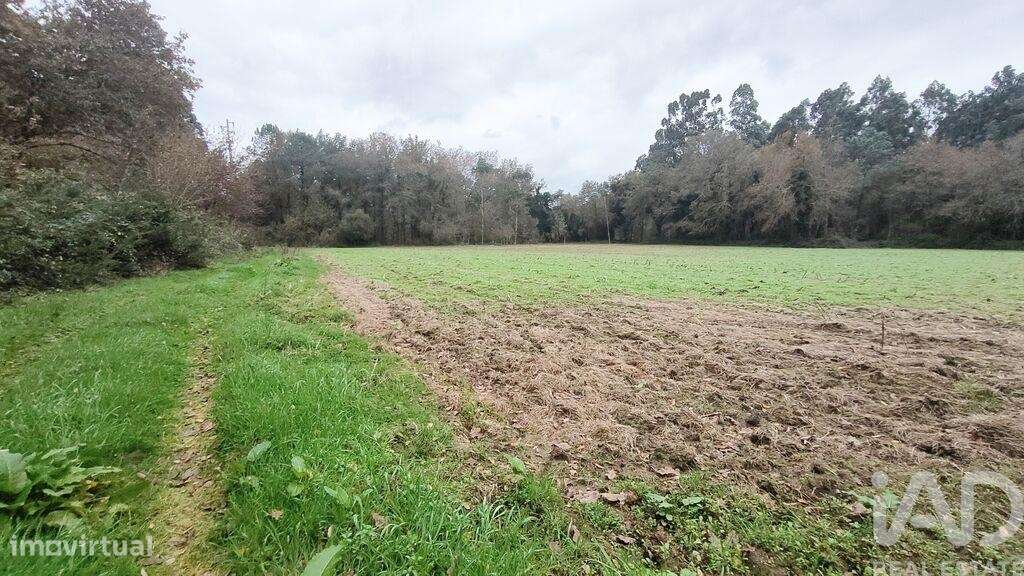 Terreno Agrícola em Cornes - Grande imagem: 2/4