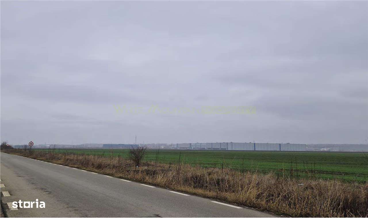 Teren 5.5 ha, de vanzare, Aricestii Rahtivani, jud Prahova - Imagine principală: 5/6