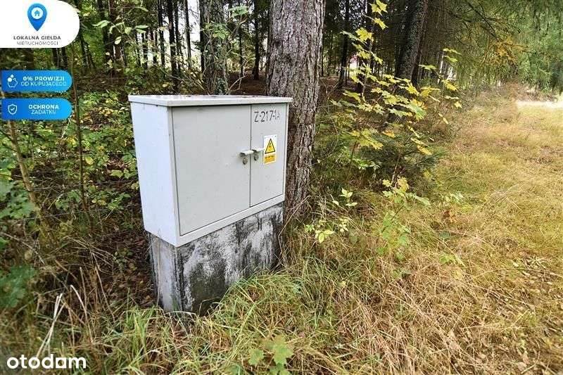 Otoczeniu lasu, Jezioro Gowidlińskie 500m-2