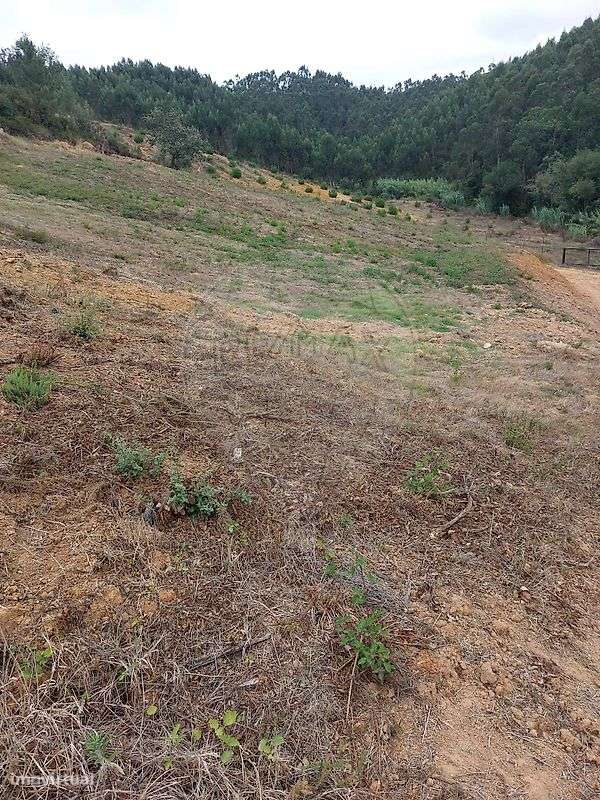 Terreno  para venda - Grande imagem: 5/20