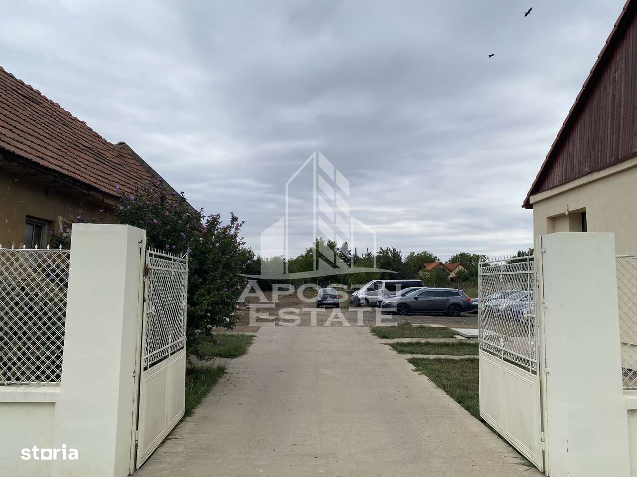 Casa în Dumbrăvița cu teren de 3039 mp și Front Stradal de 40 ml - Imagine principală: 5/12