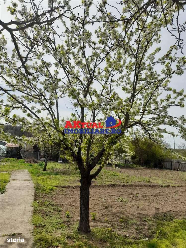 Vanzare Casa cu Teren 1200mp in Com.Mihai Bravu-Giurgiu-6