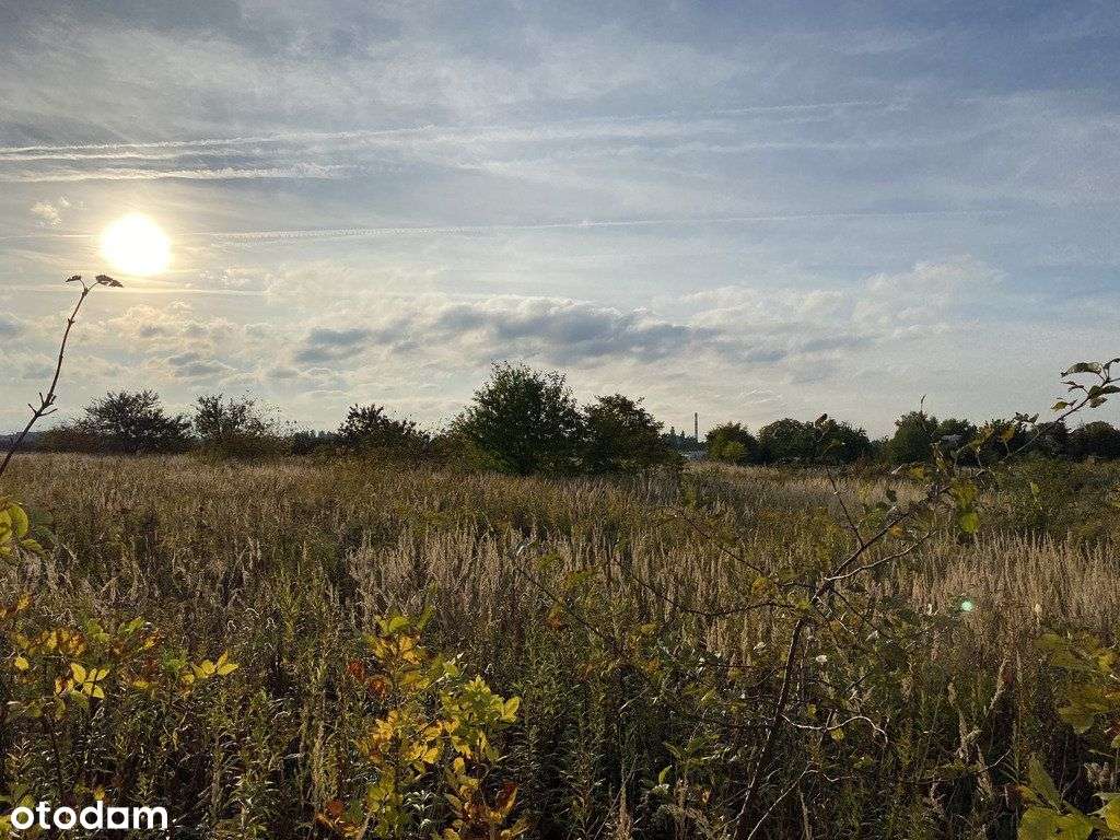 Działka inwestycyjna 0,5ha z projektem hali 2000m-3