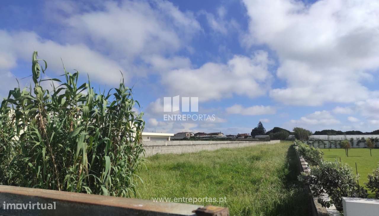 Venda de Terreno com 2000m2 próximo da praia,Aguçadoura,Póvoa de Va - Grande imagem: 2/2