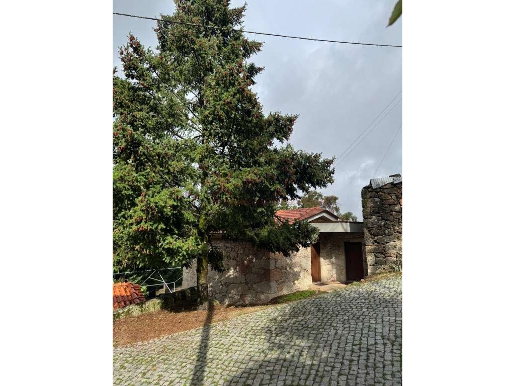 Casa na Póvoa Velha, Serra da Estrela.-21