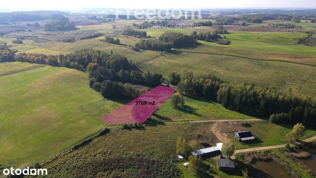 Działka z własnym stawem na Mazurach - 3769 m² - Pełny obrazek: 4/17