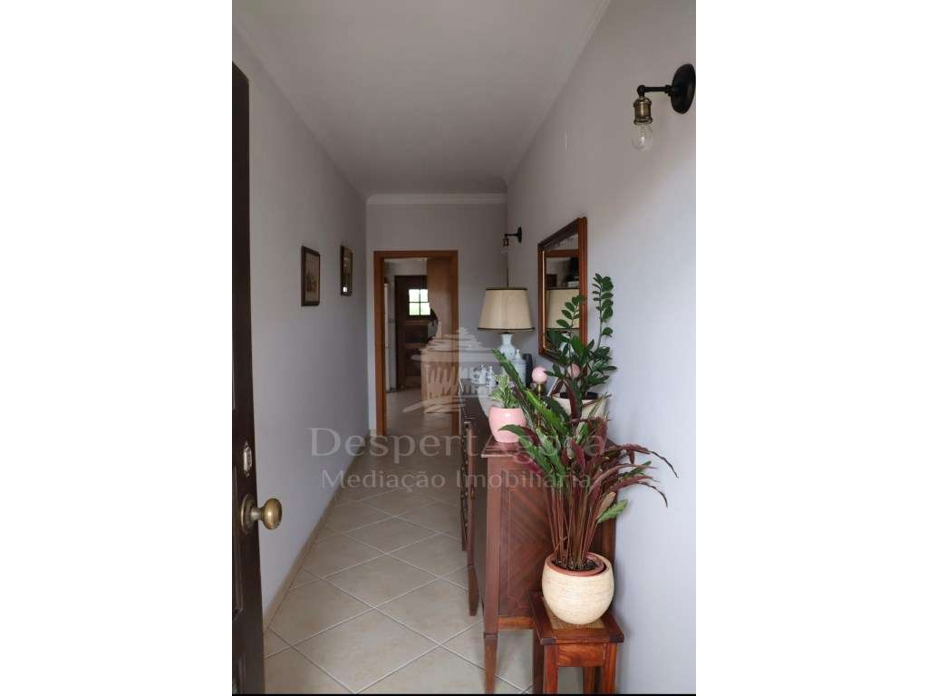 Moradia isolada na Golegã - Grande imagem: 5/18