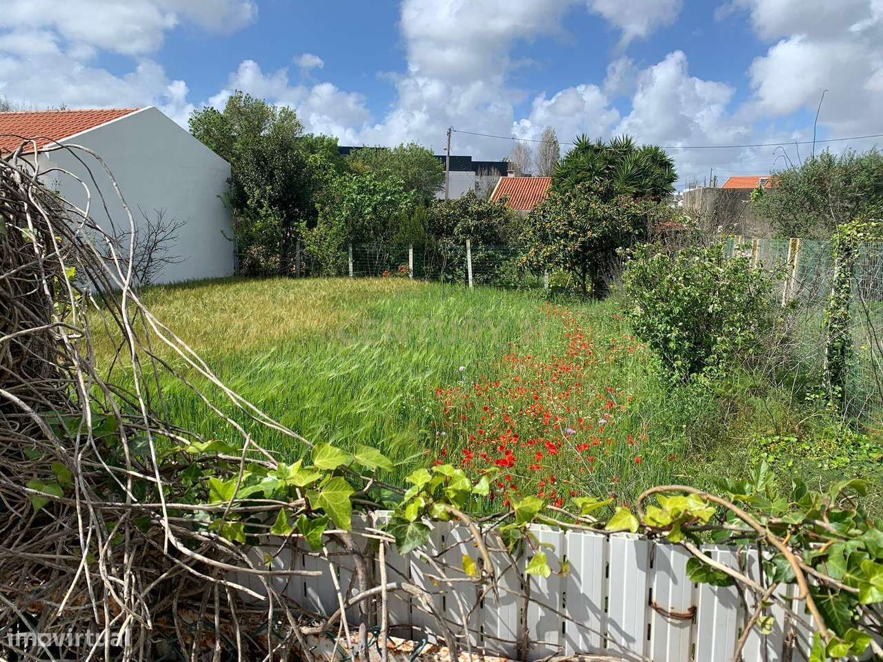 Terreno em Cabeço de Mouro - Grande imagem: 3/8