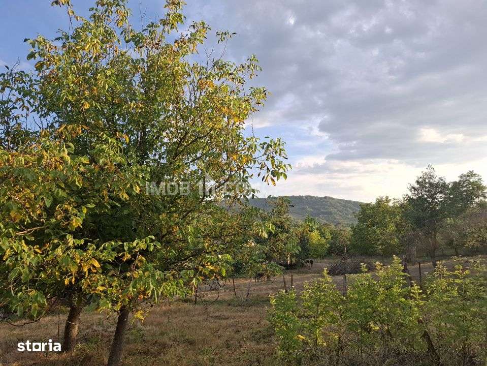 Teren spectaculos cu padure, livada si priveliste panoramica in Soimar-14
