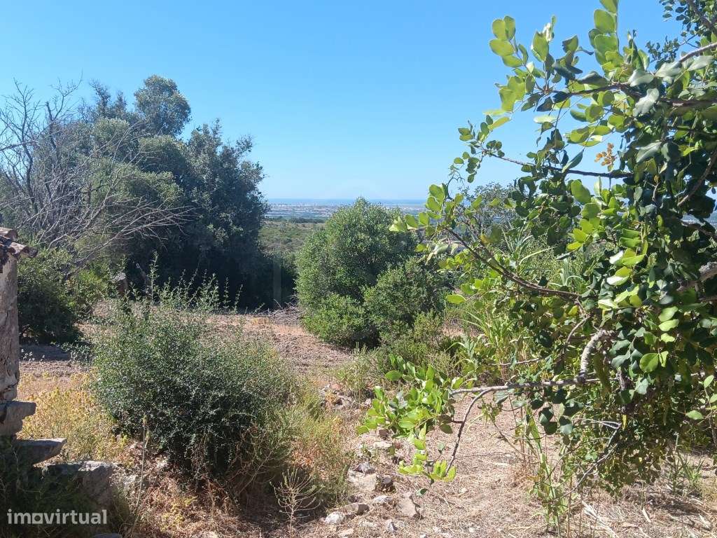 Terreno com ruína, vista mar, Santa Bárbara de Nexe, Faro, Algarve-11