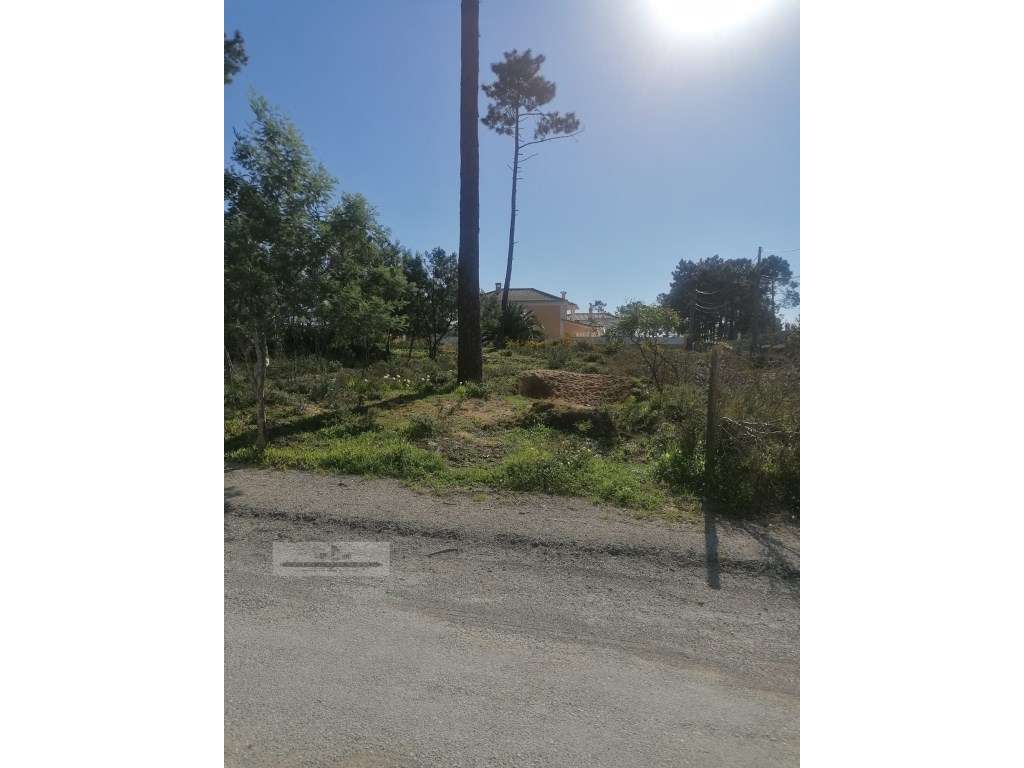 Terreno urbano com 3977 m2 na Aroeira, Charneca de Caparica.-15