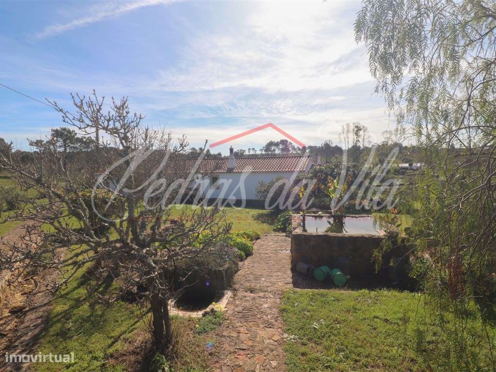 Quinta com 6,5ha em Vale Juncal - São Teotónio-32