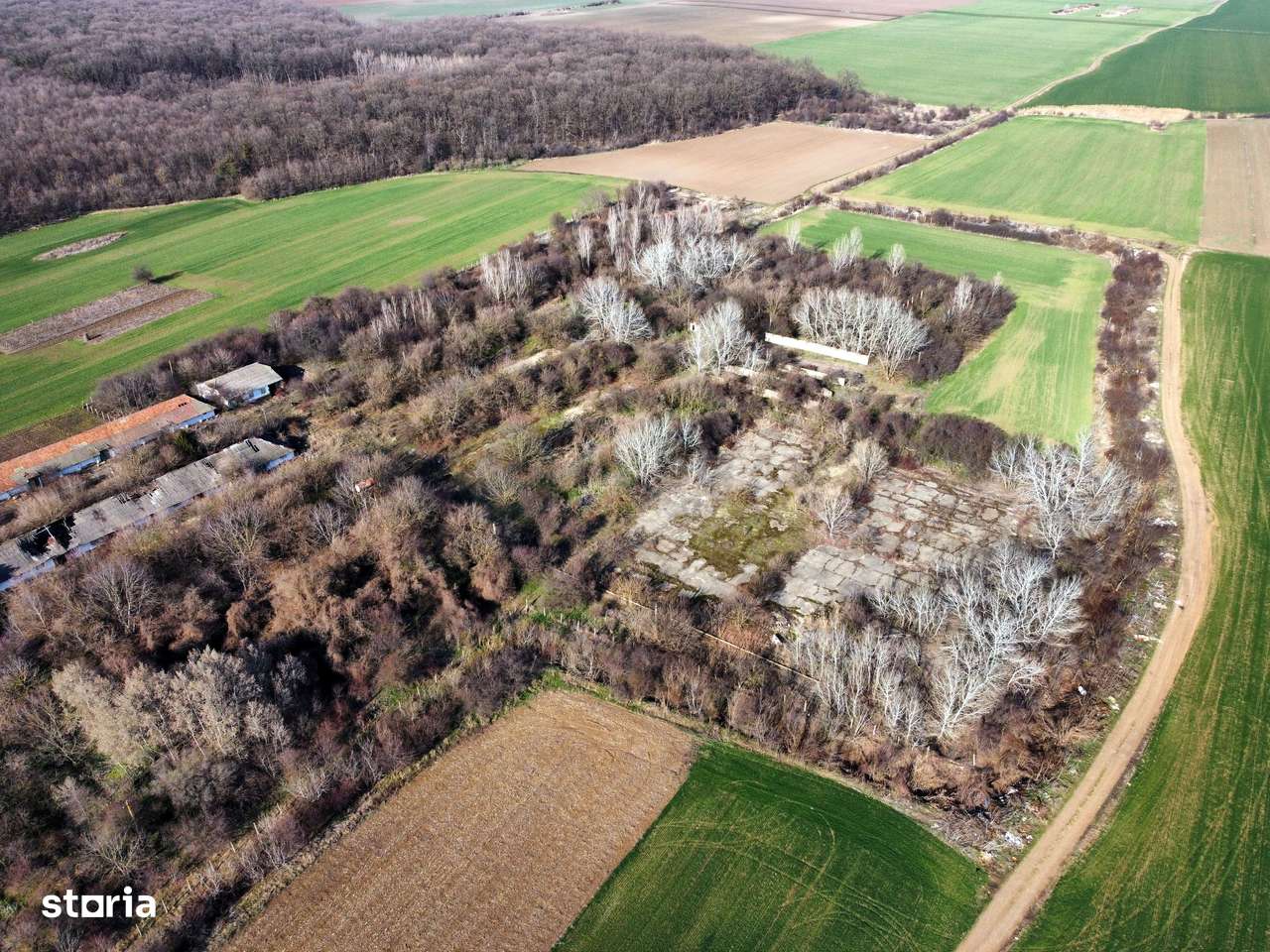 Ferma si livada de meri in judetul Ilfov-10