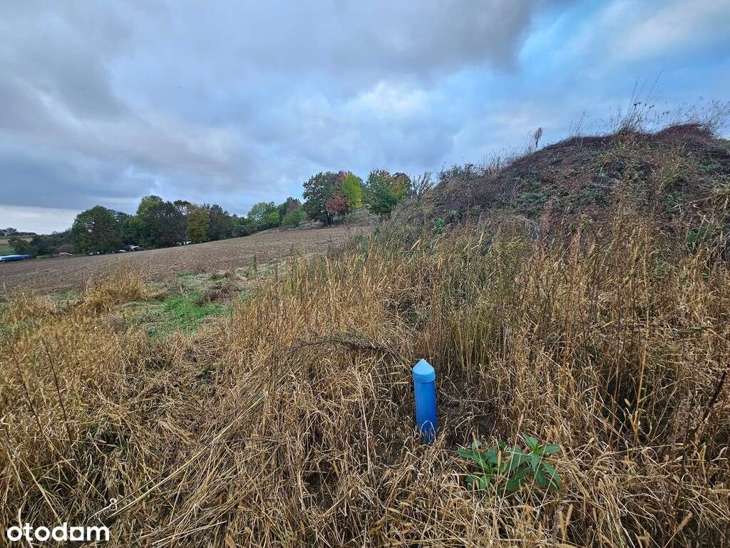 Duża widowiskowa cicha działka Siekierowice - Pełny obrazek: 5/20