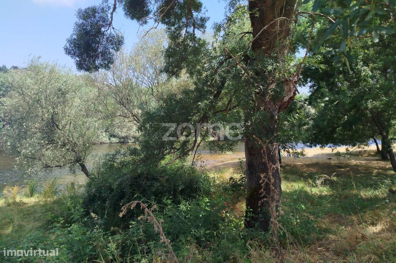 TERRENO COM FRENTE DE RIO - MONDEGO - Grande imagem: 1/18