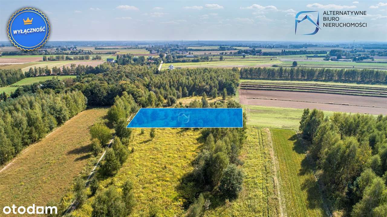 Działka budowlana Gm. Niemce m. Swoboda - Pełny obrazek: 2/19