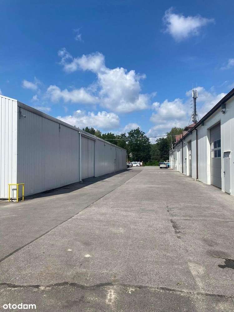 Hala magazynowa o pow. 500 m2 - Sulejówek - Pełny obrazek: 5/13