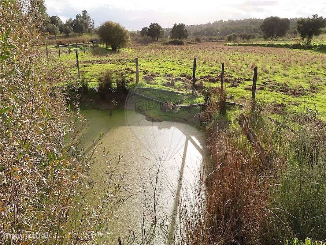 Quinta  para venda - Grande imagem: 5/35